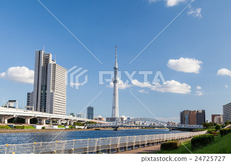 Tokyo Sky Tree from Tokyo Metropolitan Shiodome Park 24725727