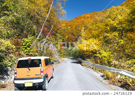 Fall Norikura Super Forest Road Fall Norikura Super Forest Road 24726129