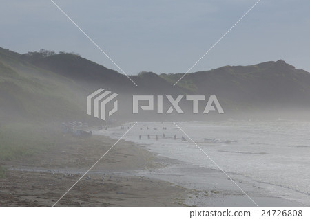 Hamanaka cho Konbu釣魚 24726808