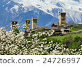 Svanetian towers in spring blossom 24726997