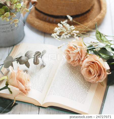 French Country 24727071