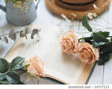 French Country 24727121