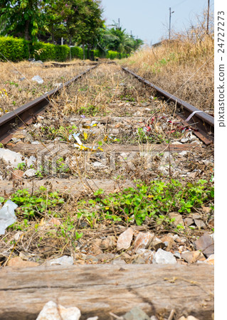 Vacant Rail way switch track with yellow die grass 24727273