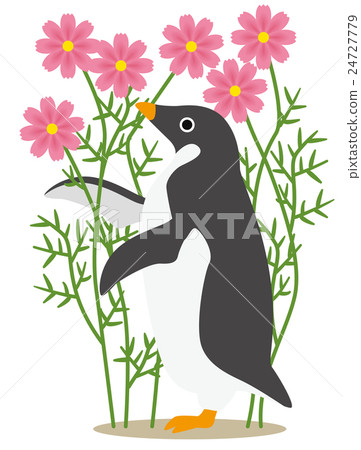 Adelie penguin days: Autumn feeling in the cosmos field 24727779