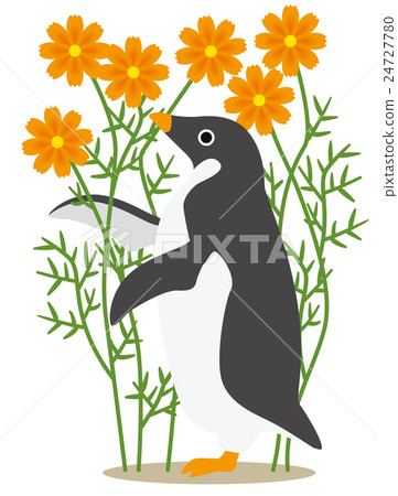 Adelie penguin days: Autumn feeling in the cosmos field 24727780