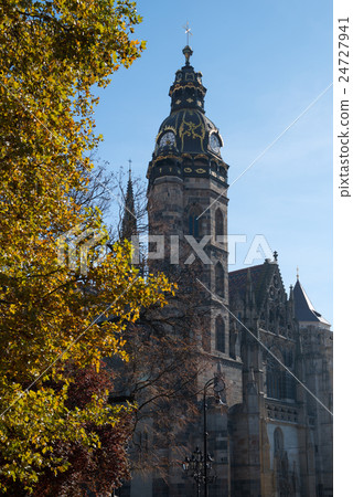 autumn trees near Saint Elisabeth Cathedral 24727941