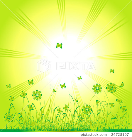 Grass green, summer background Grass green, summer background 24728107