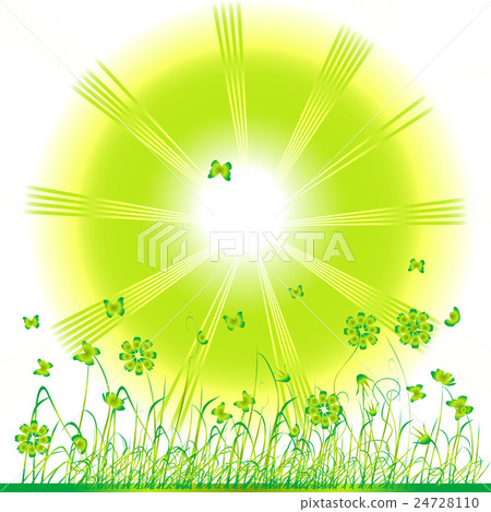 Grass green, summer background Grass green, summer background 24728110