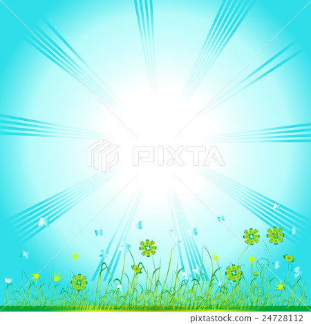 Grass green, summer background Grass green, summer background 24728112