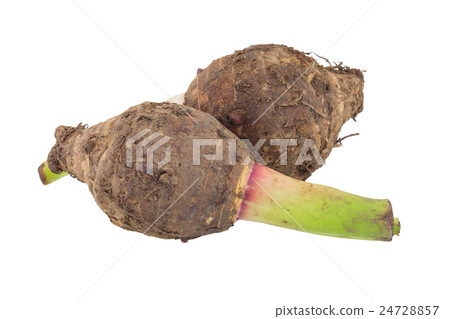 Taro isolated on white background. Taro isolated on white background. 24728857