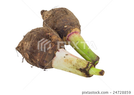 Taro isolated on white background. Taro isolated on white background. 24728859