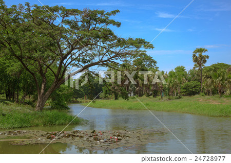 Water canal 24728977