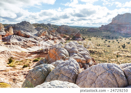 White pocket 24729250