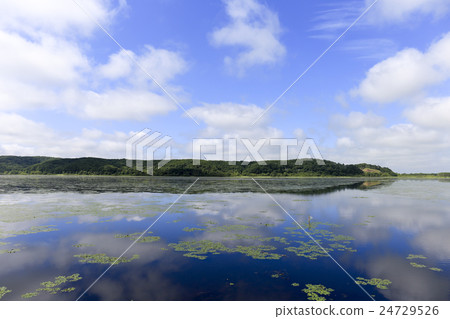 Kushiro Wetland Kakeokake Lake 24729526