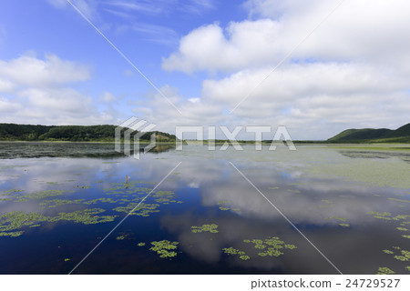 Kushiro Wetland Kakeokake Lake 24729527