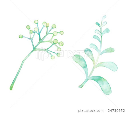 2 leaves, cute 24730652