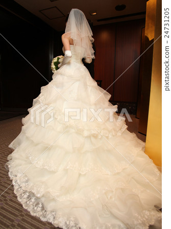 The bride and groom who enters the wedding reception The bride and groom who enters the wedding reception 24731205