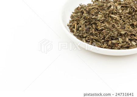 Lemon balm (Melissa): Lemon balm (Melissa officinalis) 24731641