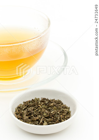 Lemon balm tea: Lemon balm tea (Melissa officinalis) 24731649