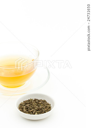 Lemon balm tea: Lemon balm tea (Melissa officinalis) 24731650