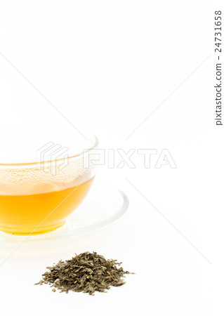Lemon balm tea: Lemon balm tea (Melissa officinalis) 24731658