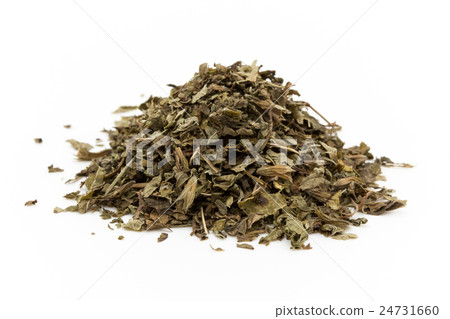 Lemon balm (Melissa): Lemon balm (Melissa officinalis) 24731660