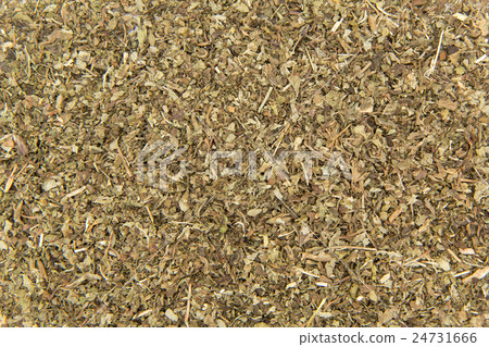 Lemon balm (Melissa): Lemon balm (Melissa officinalis) 24731666