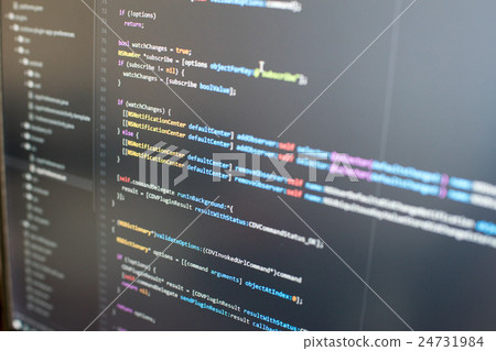 Program code 24731984