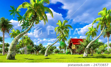 Tropical beach house in the tropics 3d rendering Tropical beach house in the tropics 3d rendering 24733657