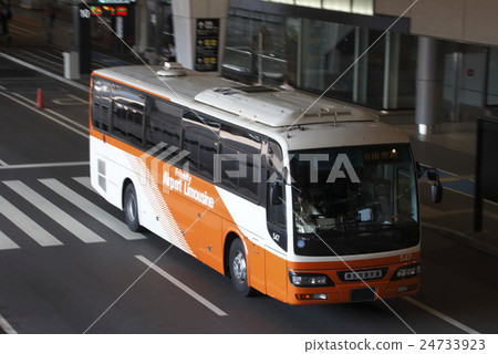 Tokyo Airport Transportation (limousine bus / Nissan Space Arrow) 24733923