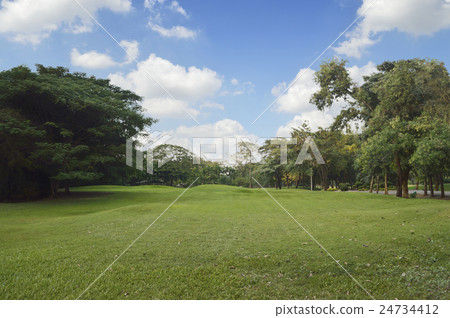 Green grass and trees in public park Green grass and trees in public park 24734412