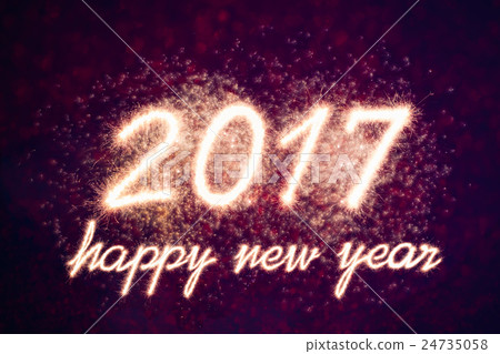 2017 24735058