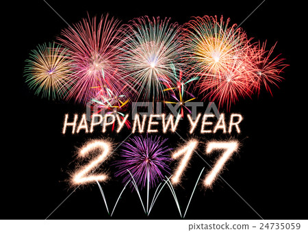 2017 2017 24735059