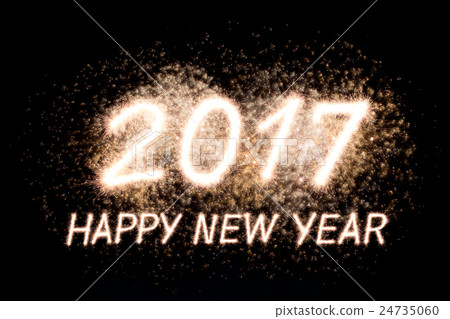2017 2017 24735060