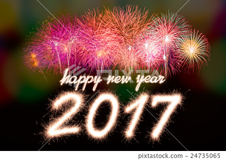 2017 2017 24735065