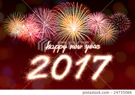 2017 2017 24735066