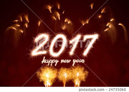 2017 2017 24735068