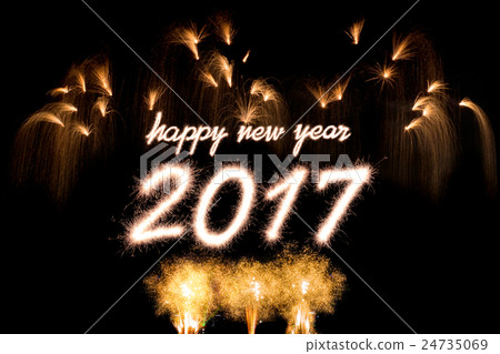 2017 24735069