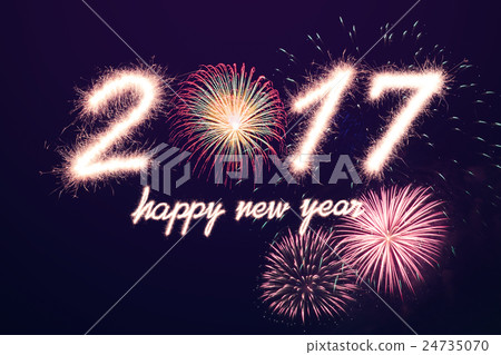 2017 2017 24735070