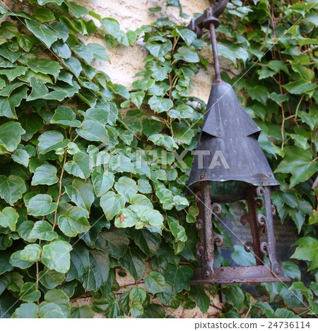 在森林裡的小屋 在森林裡的小屋 24736114