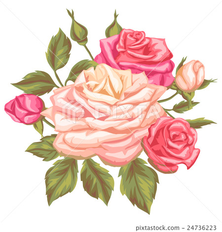 Floral element with vintage roses. Decorative 24736223