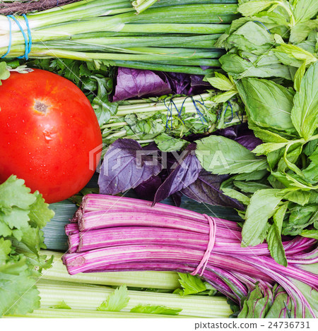 bunches of fresh cut green stuff and red tomato bunches of fresh cut green stuff and red tomato 24736731