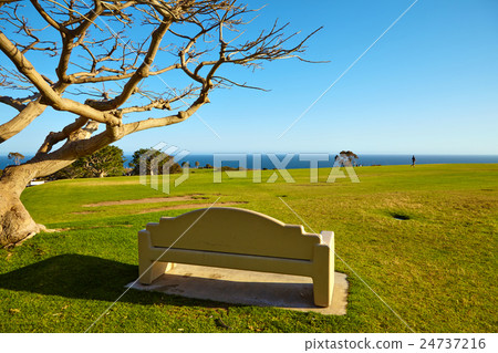 Bench on a hill near the ocean 24737216