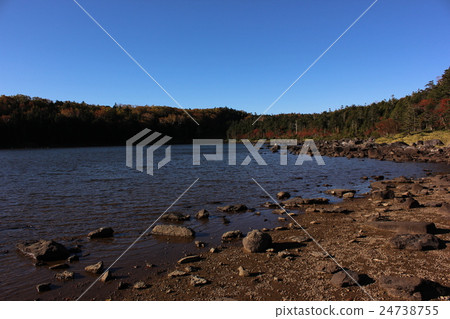 Fall falling rain pond Fall falling rain pond 24738755