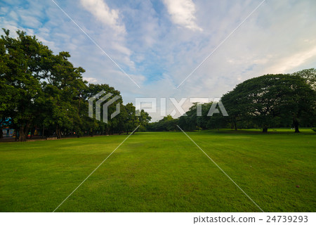 Green grass meadow field on public central park Green grass meadow field on public central park 24739293