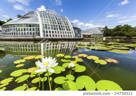 Scenery of the Kyoto Prefectural Botanical Garden Scenery of the Kyoto Prefectural Botanical Garden 24739321