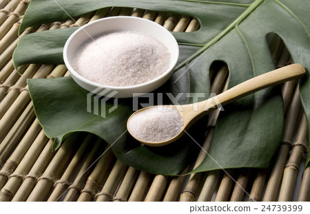 龜背竹和粉紅岩鹽 龜背竹和粉紅岩鹽 24739399