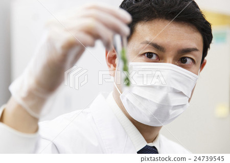 Research science Biochemical science gene DNA Experimental scientist Chemist Research science Biochemical science gene DNA Experimental scientist Chemist 24739545