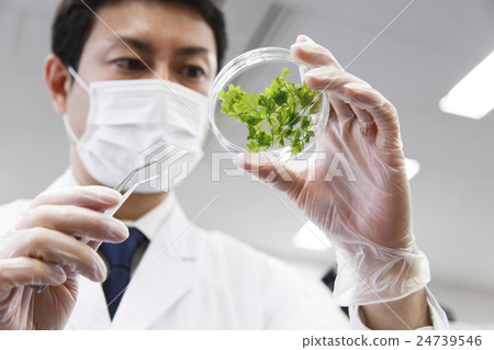 研究科學生化科學基因DNA實驗科學家化學家 24739546