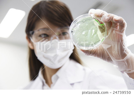 Research science Biochemical science gene DNA Experimental scientist Chemist Research science Biochemical science gene DNA Experimental scientist Chemist 24739550